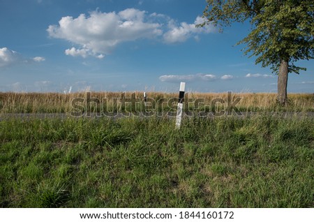 Empty country road through grass and cornfield in front of blue sky Royalty-Free Stock Photo #1844160172