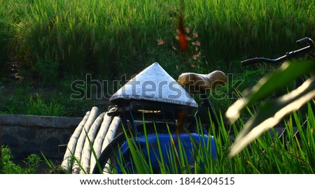 farmer's hat on his old bicycle. The bicycle is beside the river and is stopped parking on the road around the rice field in the afternoon