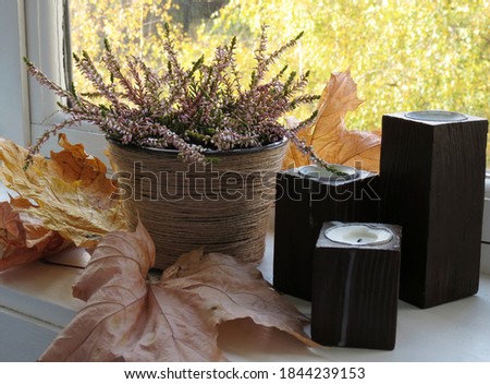 Heather in a pot on the windowsill, next to candles in wooden candlesticks and dry maple leaves. In the background are yellow autumn trees.                  