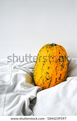 Pumpkin on white clothes background. Autumn harvest. Copy space.