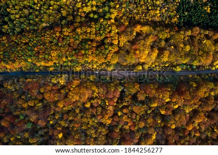 Aerial beautiful autumn forest and roadway