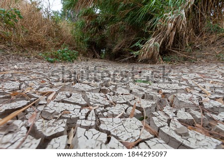 Stock photo of dry and cracked land ground because of climate change.