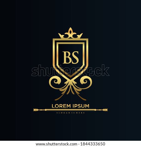 BS Letter Initial with Royal Template.elegant with crown logo vector, Creative Lettering Logo Vector Illustration.