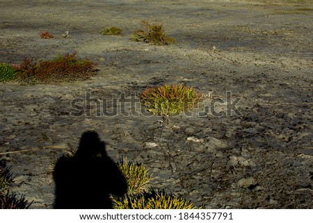 shadow of the photographer on the beach