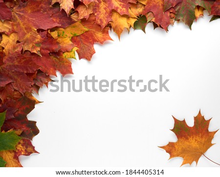 Border frame of colorful autumn leaves isolated on white background. Autumn, fall, thanksgiving day, nature concept. Flat lay, top view, copy space.