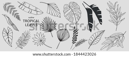 Set of hand drawn vector tropical leaves. Silhouettes of abstract branches in minimalistic flat style isolated on white background. Natural elements with a line for the design of patterns, ornaments