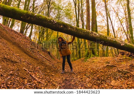 Lifestyle, a young brunette in a yellow jacket walking under a tree in the forest in autumn. Artikutza Forest in San Sebastián, Gipuzkoa, Basque Country. Spain