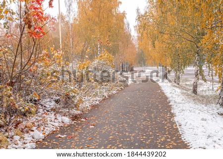 Scenic autumn view with first snow on the road, trees and forest in snow and hoarfrost against a cloudy sky background