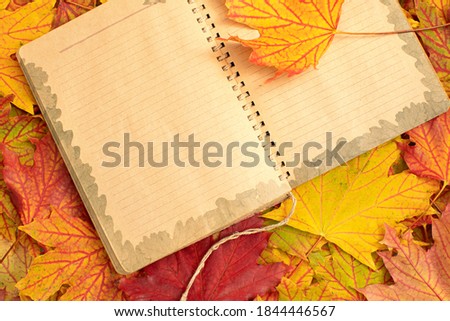 Concept with colorful autumn leaves and old notebook with copy space