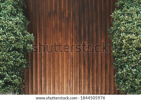 Wooden wall and bushes on the both sides