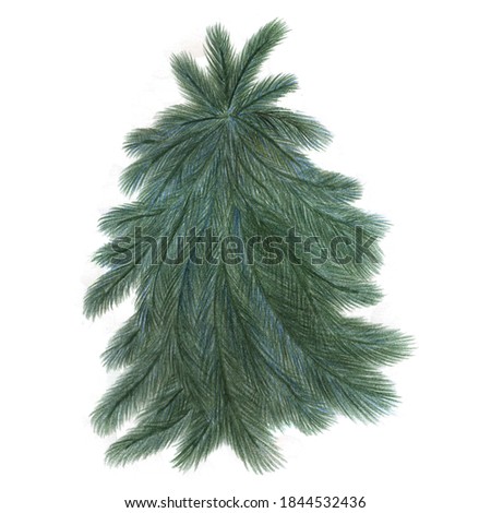 Green Christmas Tree isolated on white background. Winter holidays concept. Hand-drawn pencil illustration.