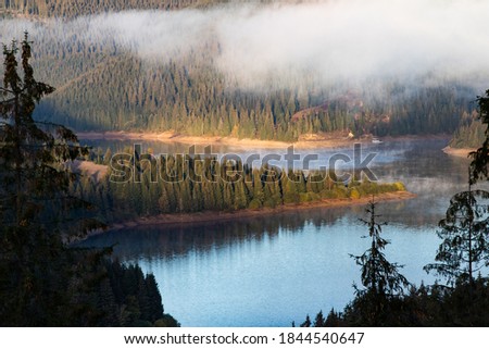 aerial view of mountain lake surrounded by fir trees