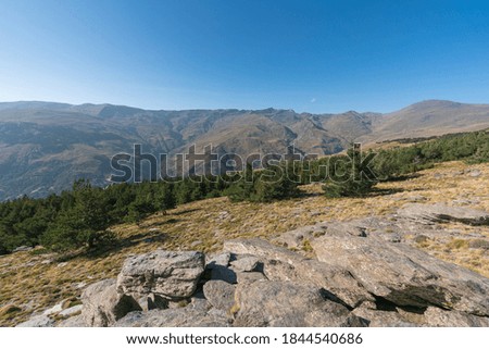 Mountainous landscape in Sierra Nevada in southern Spain, there is pine forest, there are rocks and stones, there is vegetation, the sky is clear