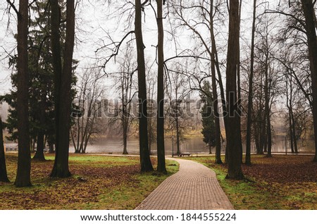 Late autumn nature landscape.Alley in empty park with bare trees and red fallen autumnal leaves during foggy november morning. Royalty-Free Stock Photo #1844555224