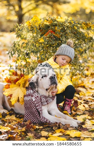 Cute little girl and big dog in knitted scarf are playing in the city park in autumn. Vertical portrait