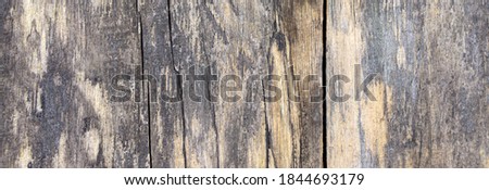 Banner. Old wooden background. Old wooden plank. Wooden texture