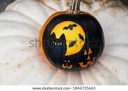 Halloween Scene of  a cat, bats and pumpkins painted black on orange pumpkin and white Pumpkin background.