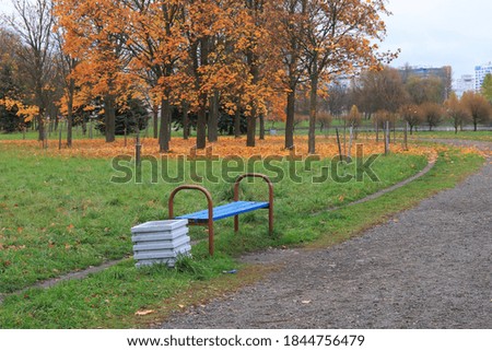 Blue bench in a city park in autumn