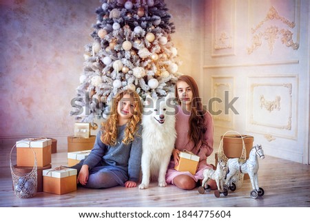 little girls and large white Samoyed dog on floor by Christmas tree with wrapped gift boxes in bright interior. Festive background, copy space. New Year holiday card calendar. Christmas eve concept.