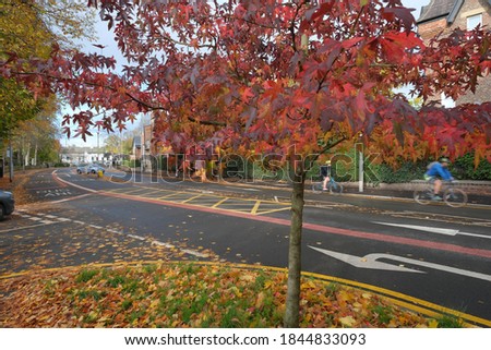 British 'boxed' suburban road junction and other road markings, with cyclists and cars, in autumn: Didsbury, Manchester, England, UK.
