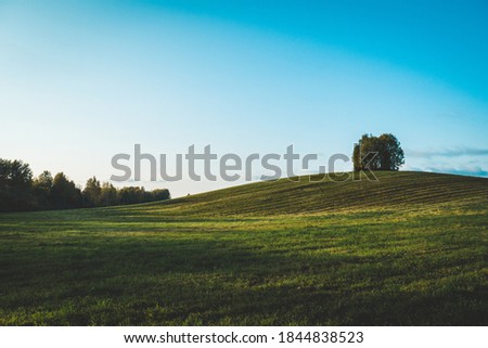 Beautiful landscape, a large green field, a hill or a hill on which a huge tree grows. Blue sky above green hills.
