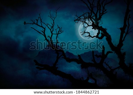 Silhouette of tree branches in forest and blue full moon at midnight with bright and dark clouds, concept of scary and horror