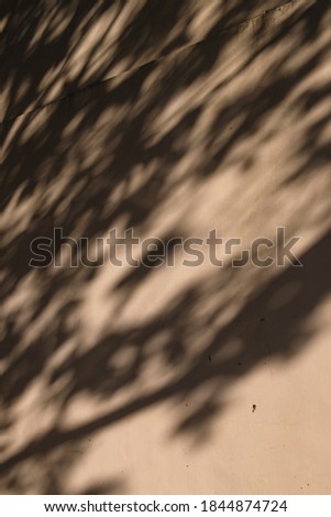 Abstract Shadows Cast On Wall