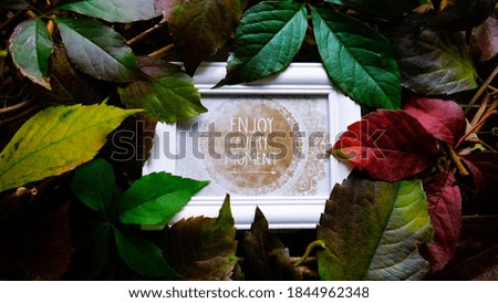 Creative layout made of autumn leaves with with a message in a wooden frame "Enjoy every moment". Flat lay. Nature concept. Top view.