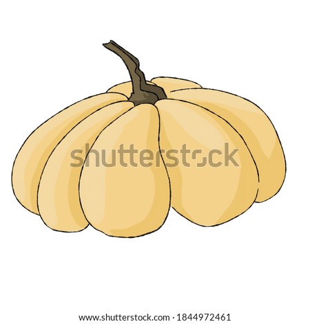 bitmap of low yellow pumpkin on white background