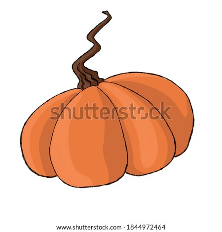 bitmap of ripe orange pumpkin with long tail on white background