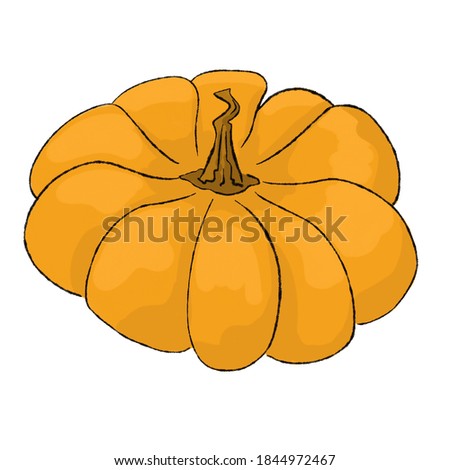raster image of a ripe yellow pumpkin with a tail on a white background
