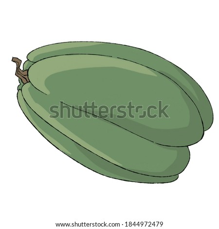raster image of ripe green pumpkin with a tail on a white background