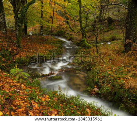Autumn nature colors on a rainy morning in Peneda Geres National Park, Portugal