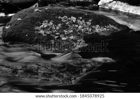 Burbage Brook, Padley Gorge, Derbyshire 20 October 2017 UK. Black and white long exposure shot of water passing moss and leaf covered rocks along Burbage Brook in the Derbyshire Peak District, UK Royalty-Free Stock Photo #1845078925