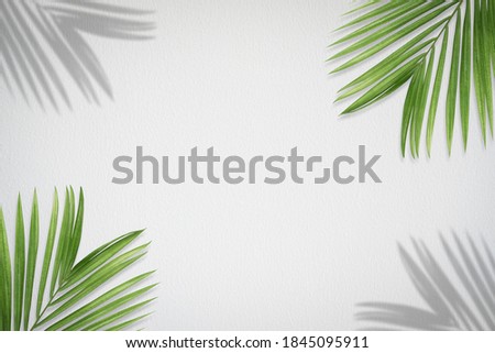 Creative layout made of tropical leaves on white background. Minimal summer exotic concept with copy space.