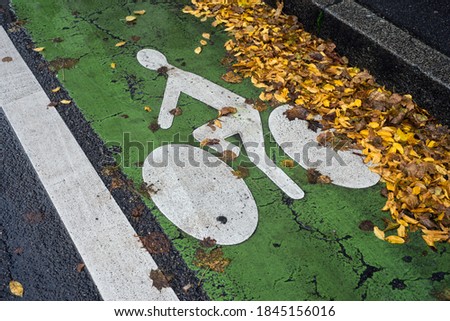 Closeup of bicycle line covered by autumnal leaves by rainy day