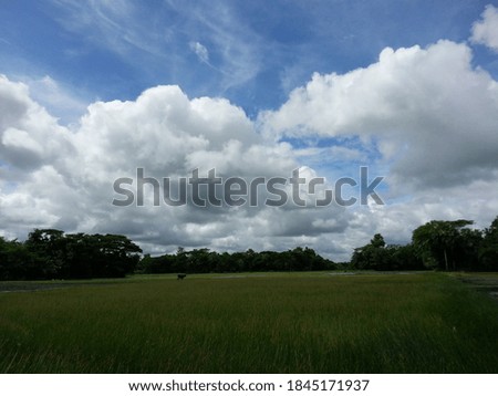 Blue sky this picture capture from Noakhali is a district in South-eastern Bangladesh. It is located in the Chittagong Division.