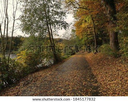 cycling path along the river Ruhr in Essen, Germany. Soft warm light, a lot of leafs on the ground