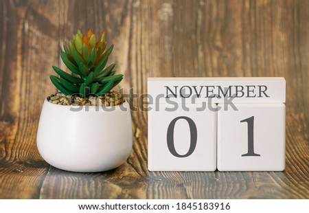 Flower pot and calendar for the fall season from 01 November. Autumn time.