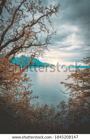 picture of a switzerland bay lake