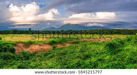 Landscape mountain view with blue sky and white cloud and green grass in evening light, Panorama