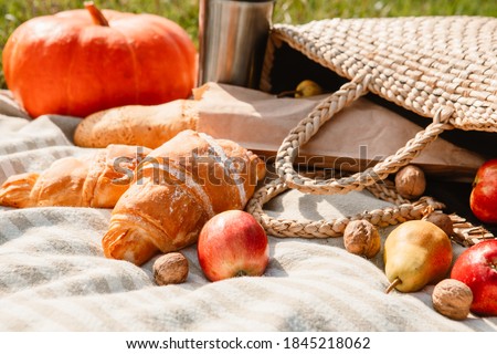 picnic at river beach autumn sunny day