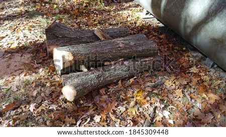 Close up of a pile of logs