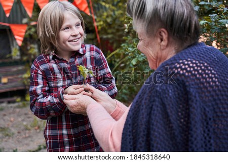 Love and harmony. Mindful elderly lady holds a green sprout in her hands and hands it to her smiling little grandson wearing plaid shirt. Stock photo