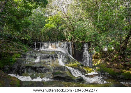 Waterfalls cascading down large rocks surrounded by lush natural green forest trees & fauna in the Presidente Figueiredo region of the Amazon rainforest in the state of Amazonas, Brazil, South America