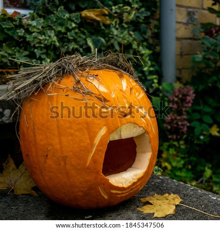 Funny halloween carved pumpkin into face expression, black background with copy space, creative squash carving for ghost night and trick or treat hunt, surrounded by yellow autumn leafes on the porch