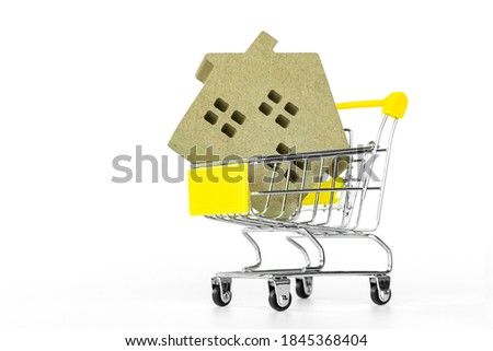 shopping cart with house model isolate on white background, concept of business finance.