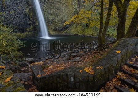 Fall foliage and autumn color at Horsetail Falls in the Columbia River Gorge, Oregon