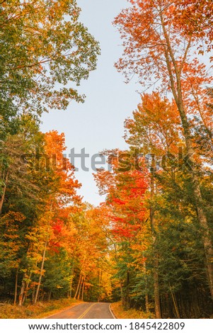 Adirondacks, NY Adirondacks fall foliage on a quiet desloate road