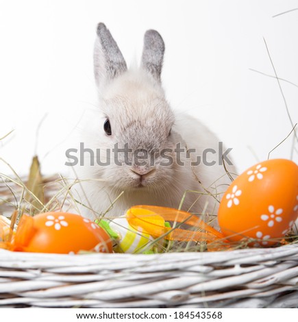 Easter pictures - rabbit in a basket with colored eggs